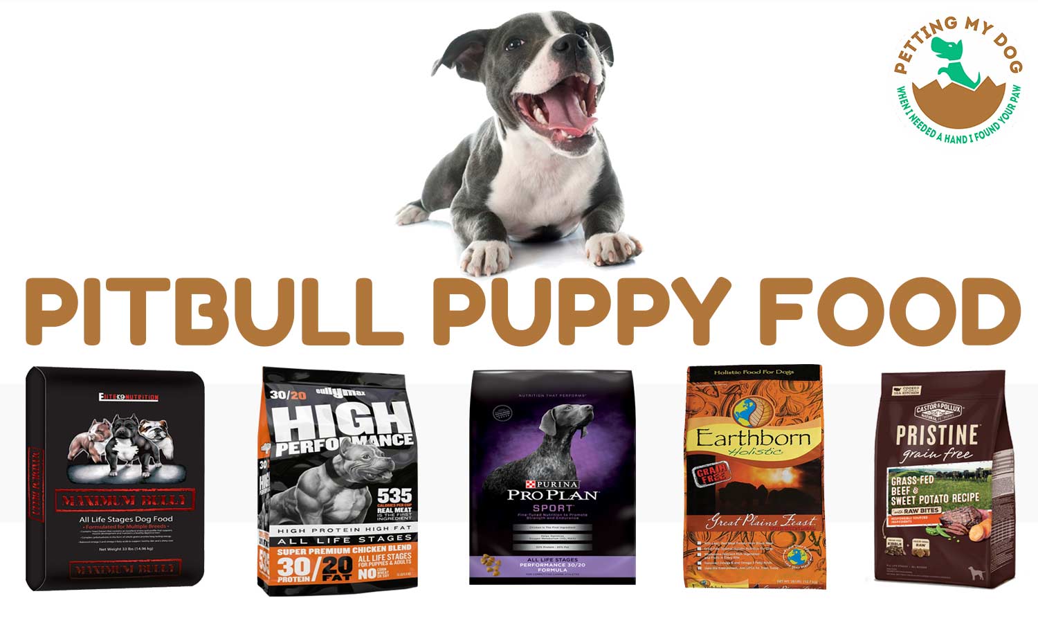 what can i feed my pitbull puppy to gain muscle