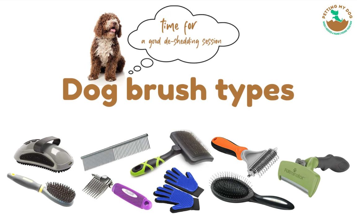 best dog grooming brush