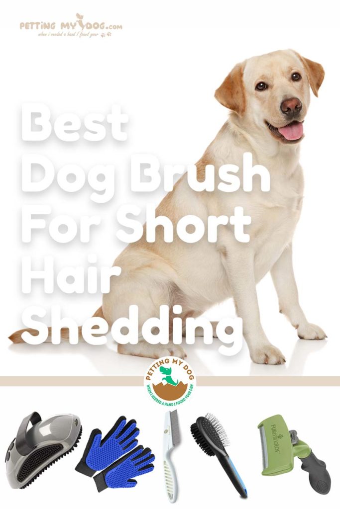 dog brush for short hair shedding