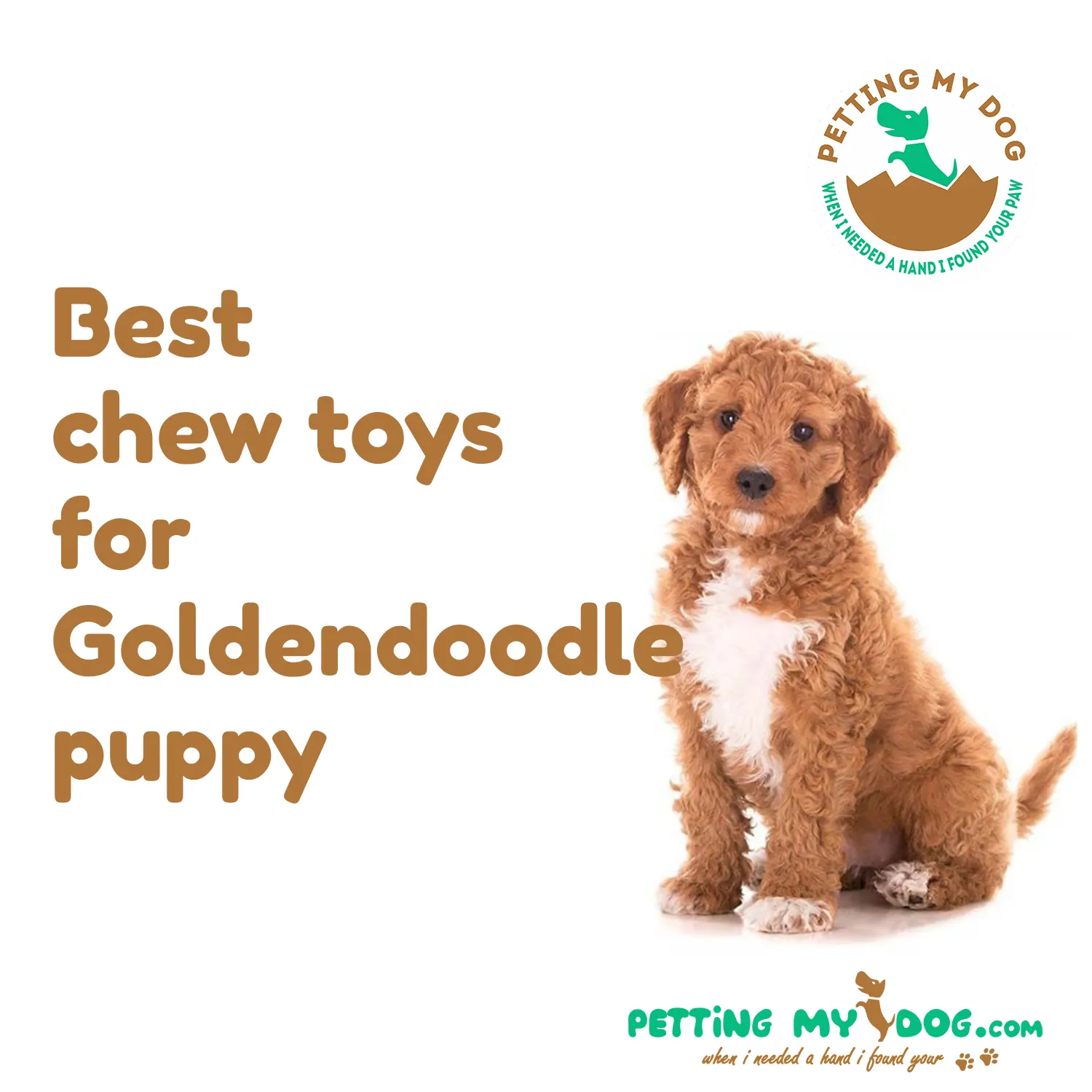 https://www.pettingmydog.com/wp-content/uploads/2022/03/Best-chew-toys-for-Goldendoodle-puppy.webp