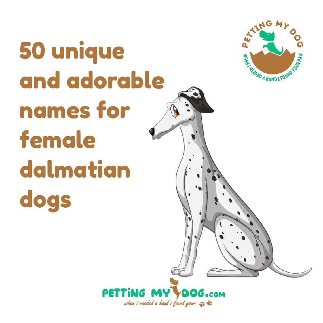 50 unique and adorable names for your female dalmatian dog